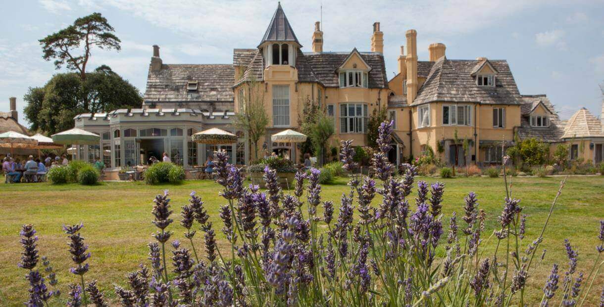 the pig studland beach hotel in the uk dorset