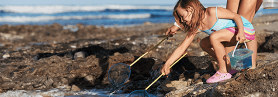 car driving on the road with sun