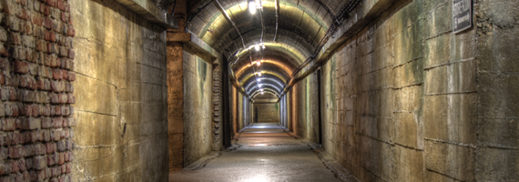 car driving on the road with sun